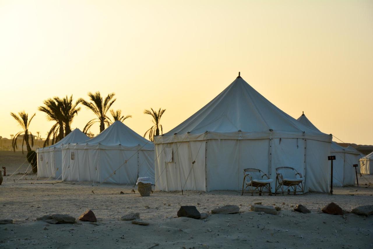 Marsa Shagra Village Abu Dabab Εξωτερικό φωτογραφία